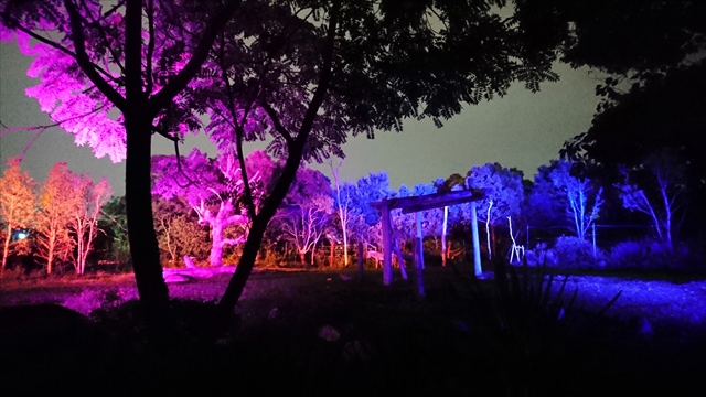 夜の天王寺動物園 ナイトzoo デートって 実際どう 大阪デートプラン 夜の天王寺動物園 ナイトzoo デートって 実際どう 大阪デートプラン